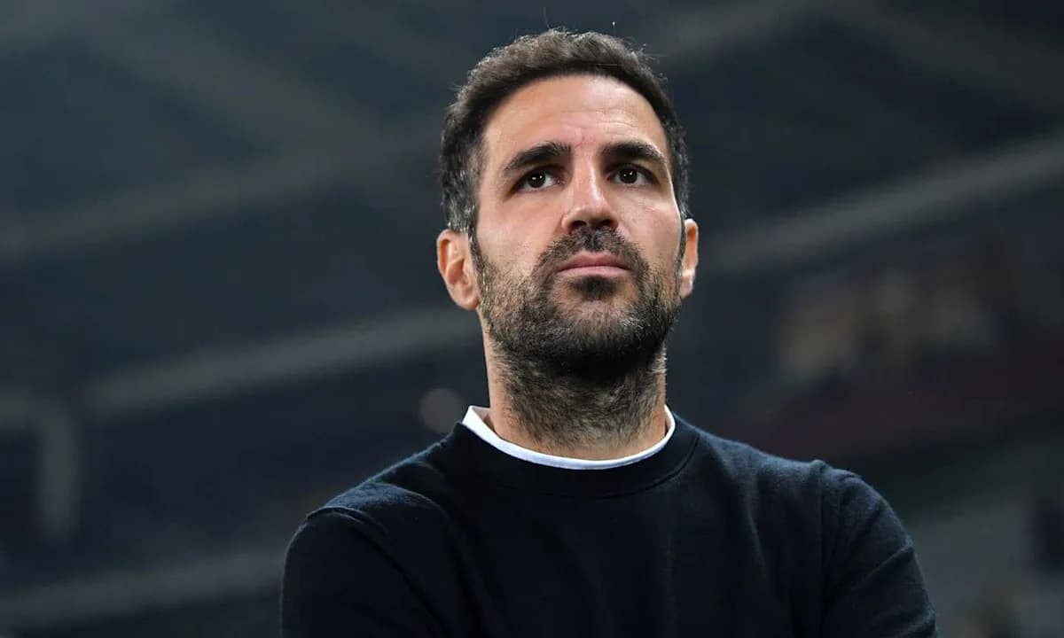 Entrenador observando el partido desde la línea lateral